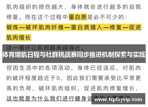 体育增肌日程与社群挑战赛同步推进机制探索与实践